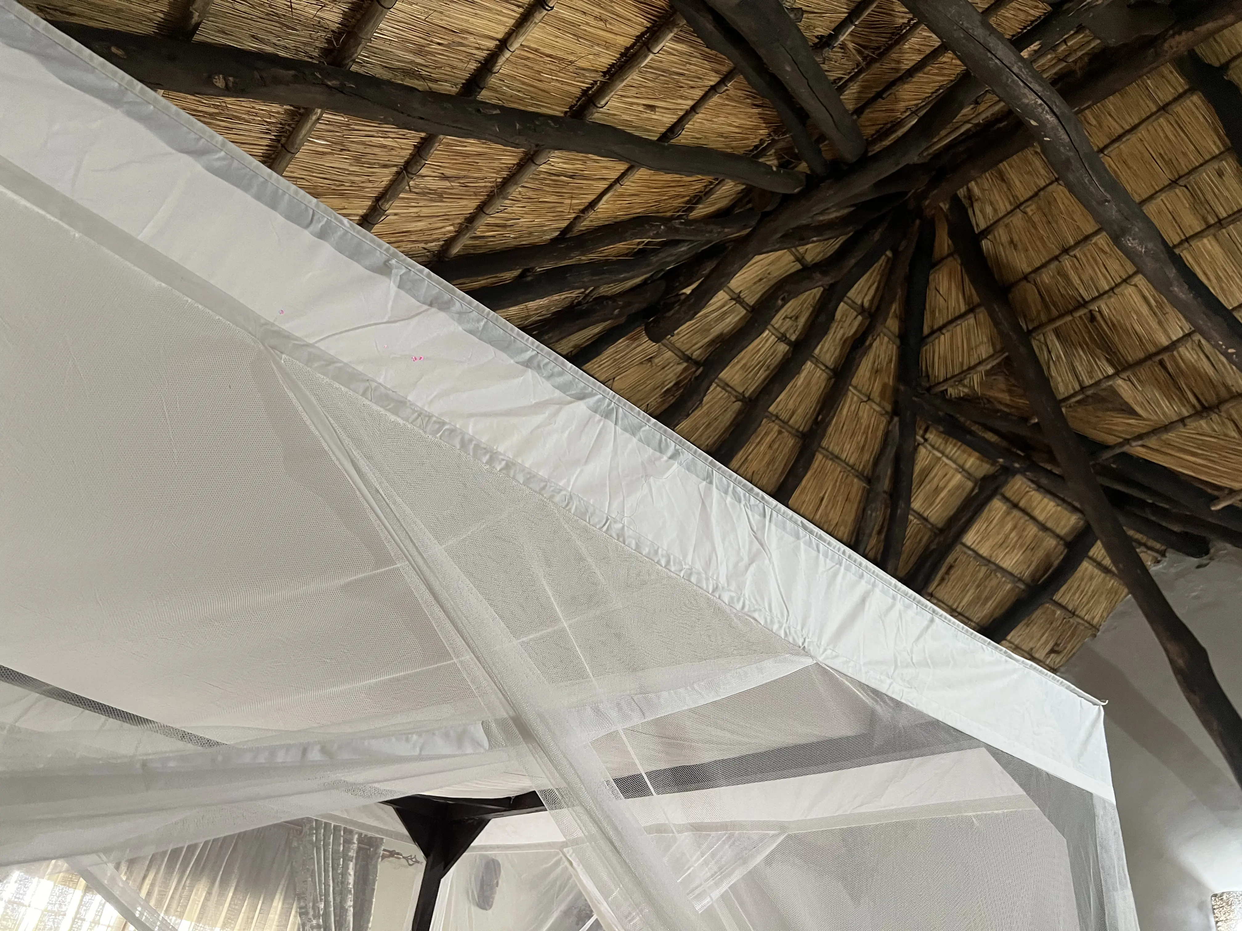 Macro details of local thatched roofing lines and timber